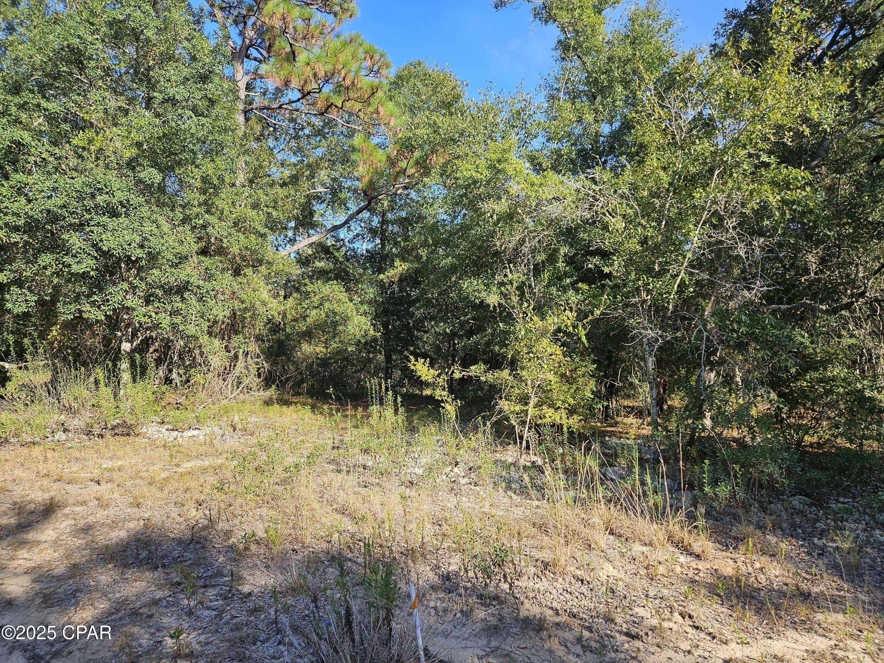 Chipley, FL 32428,B-216 Quail Ridge DR