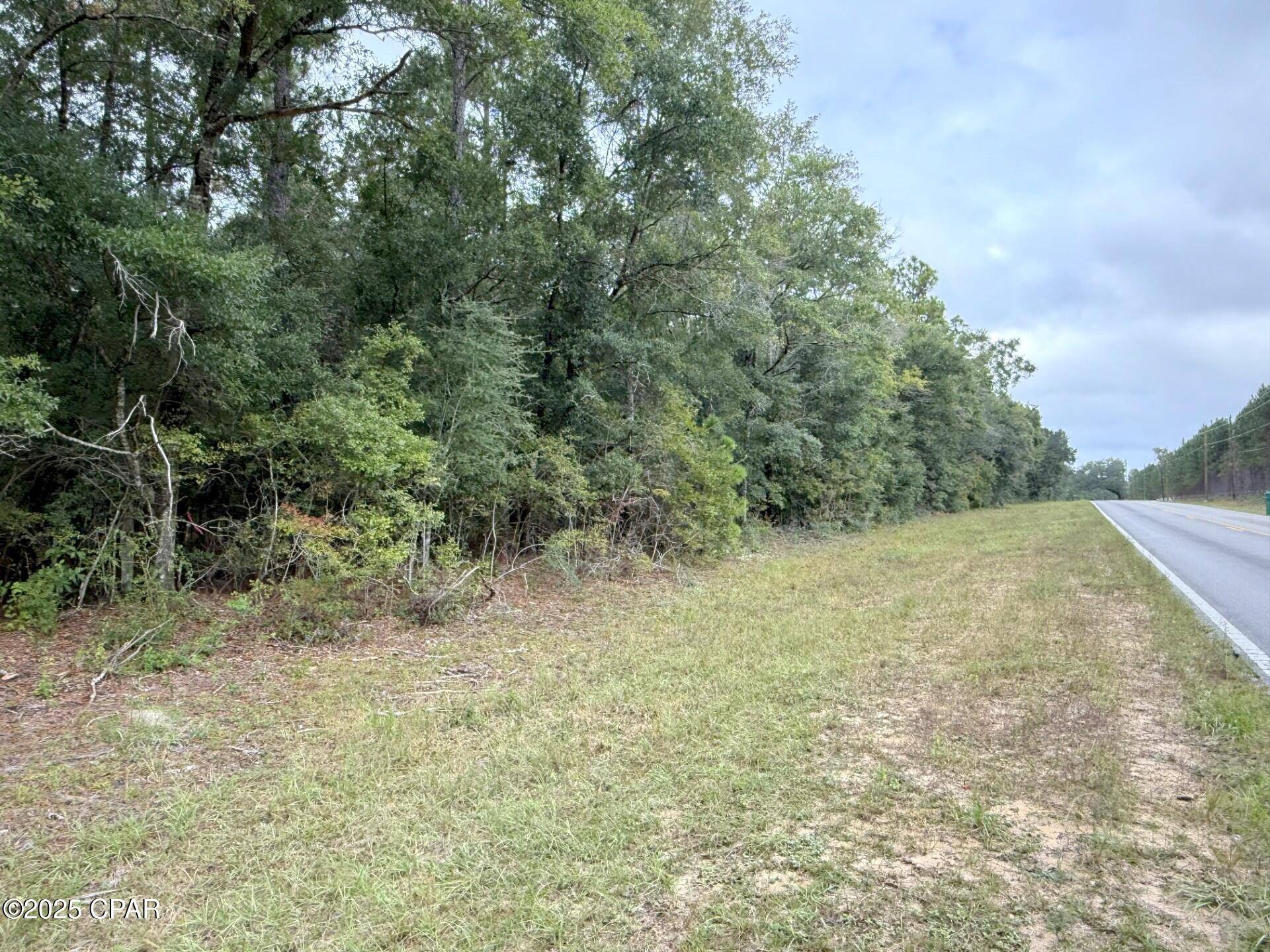 Chipley, FL 32428,XXX Parkview DR #Lot 13