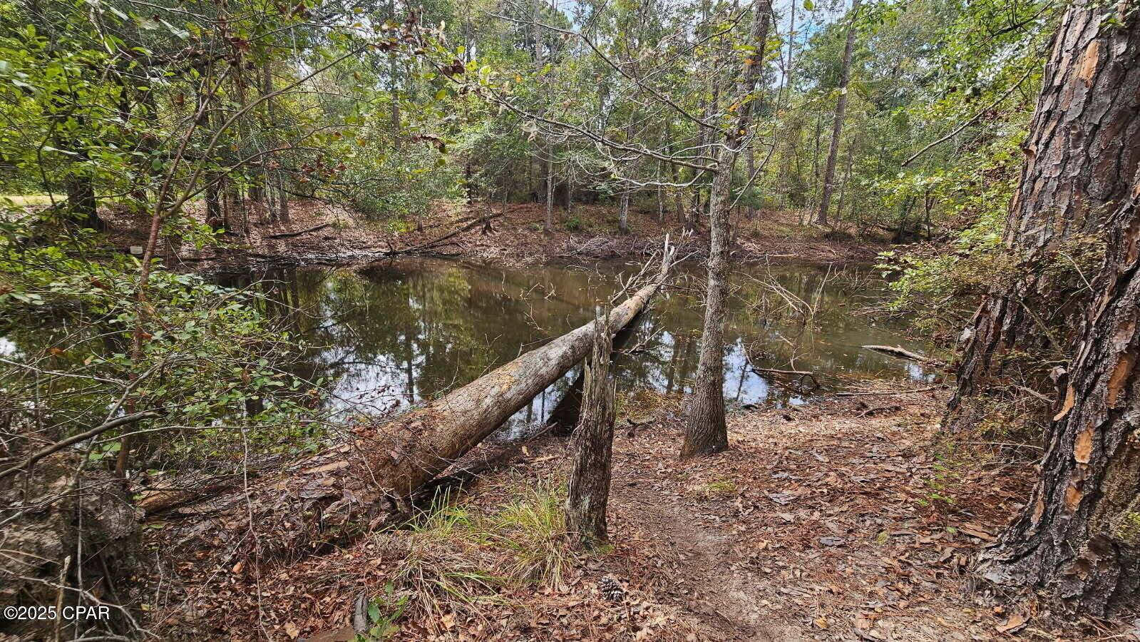 Cottondale, FL 32431,3815 Smokey RD