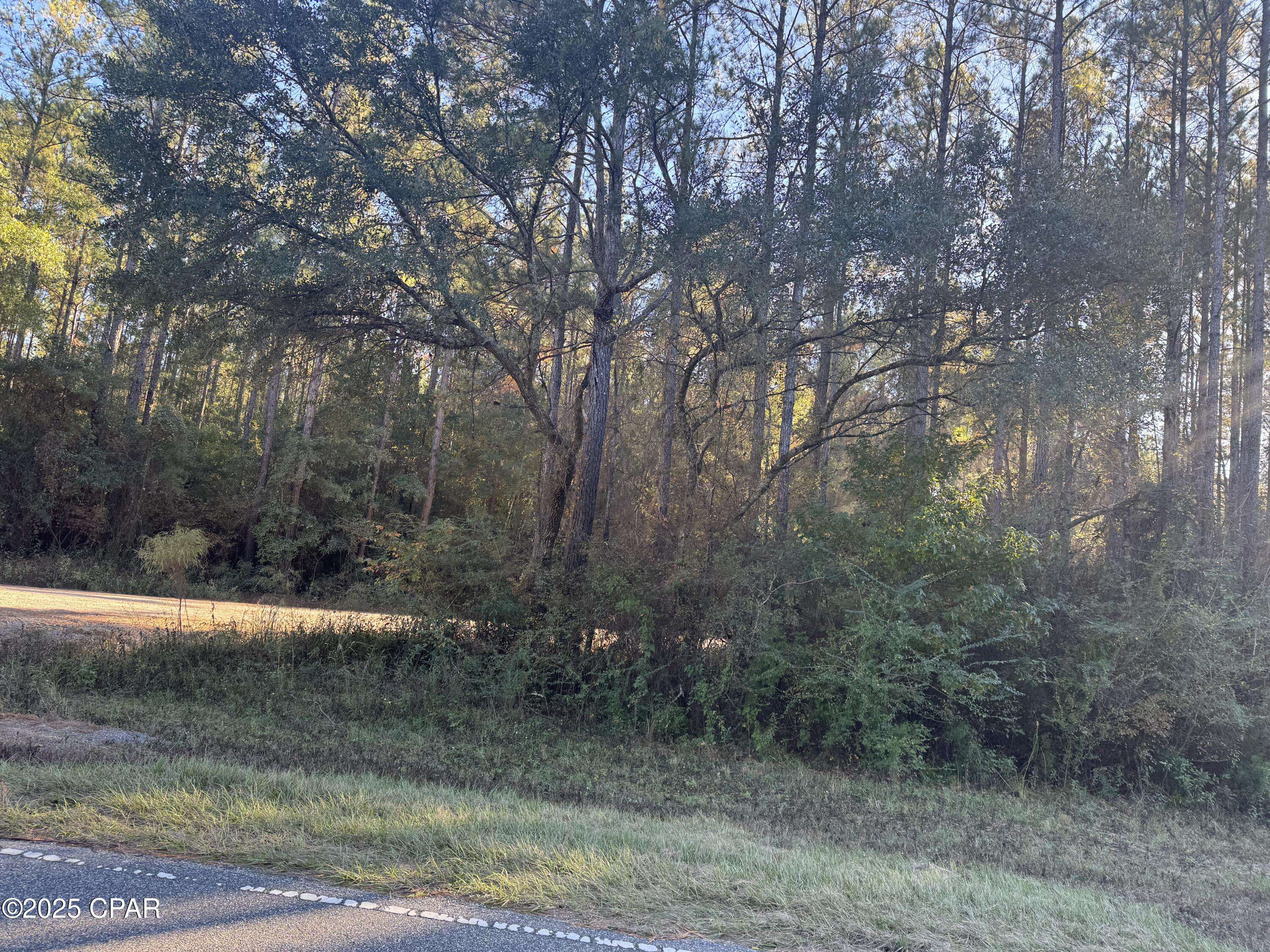 Bonifay, FL 32425,0000 County Road 160