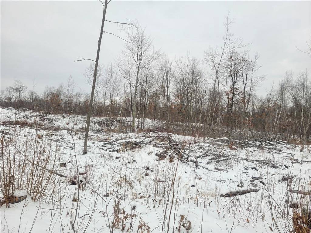 Ladysmith, WI 54848,ON Sheep Camp Road
