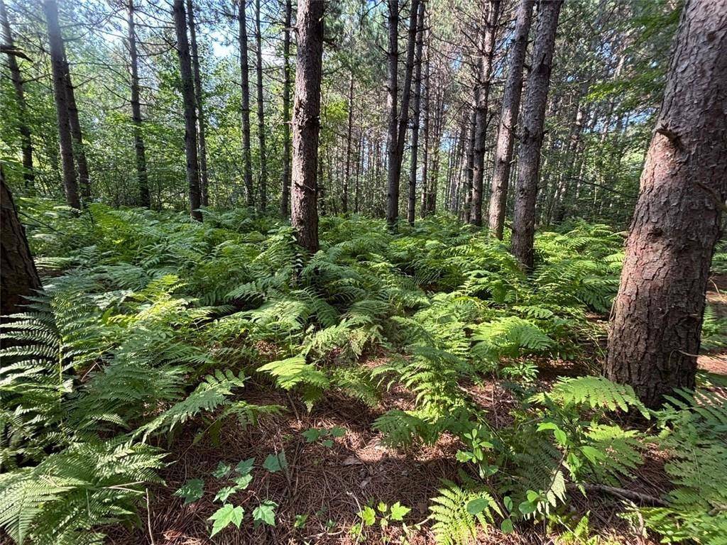 Fall Creek, WI 54742,0 Oak Knoll Road