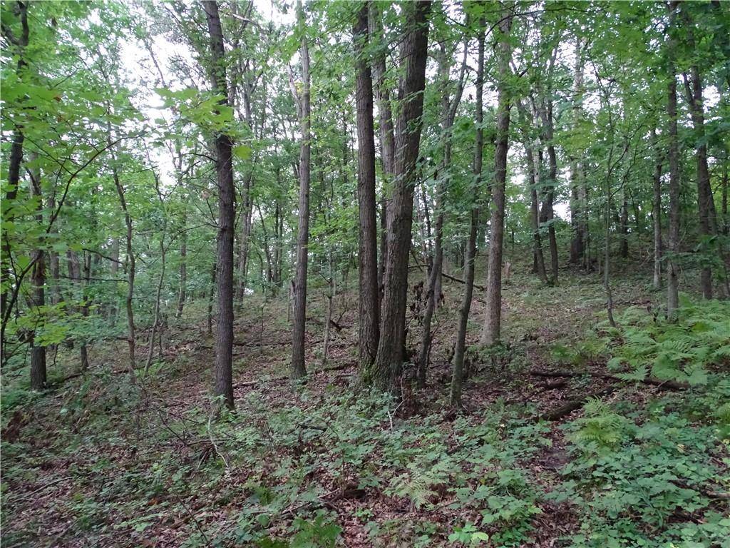 Mondovi, WI 54755,000 County Road W