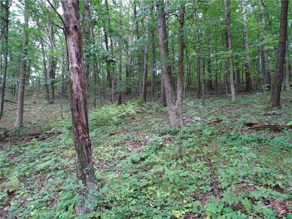 Mondovi, WI 54755,000 County Road W