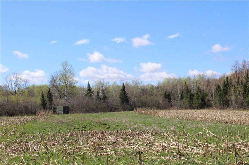 Ogema, WI 54459,0 County Rd. M - 142 acres