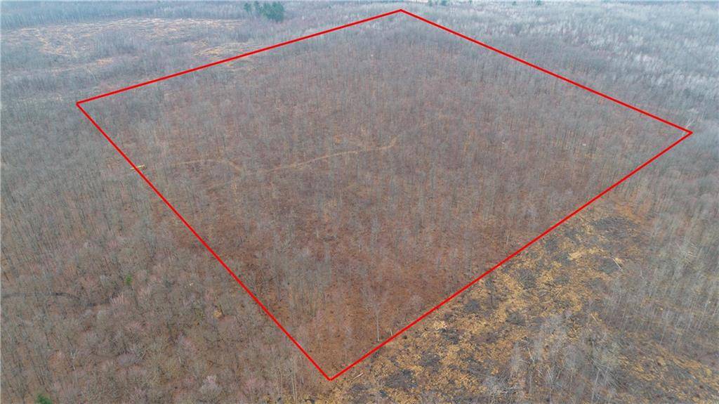 Thorp, WI 54771,40 Acres Dickerson Ave