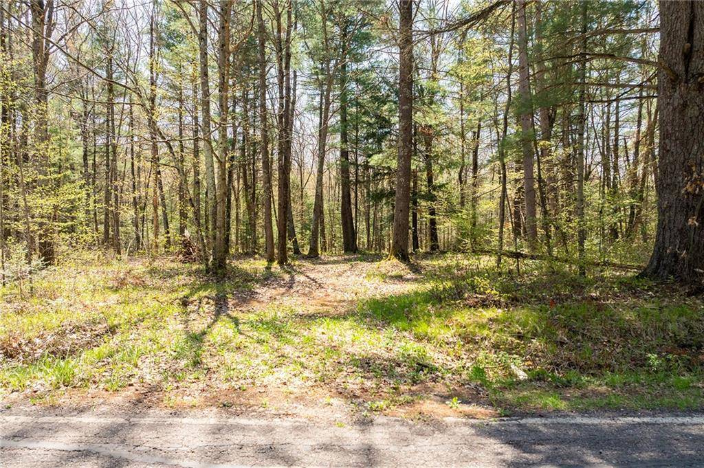 Holcombe, WI 54745,0 Squaw Point Road