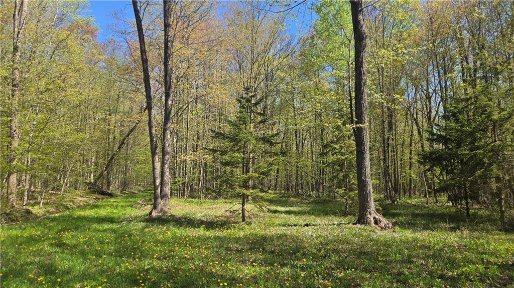 Conrath, WI 54731,N 900 Joes Road