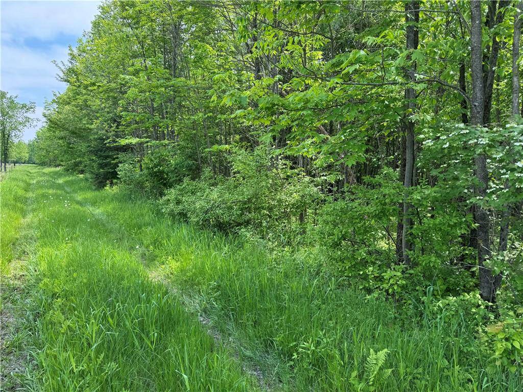 Withee, WI 54497,000 Winter Sports Road