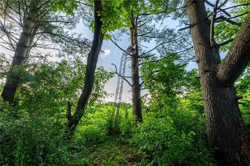 Mondovi, WI 54755,00 Moe Road