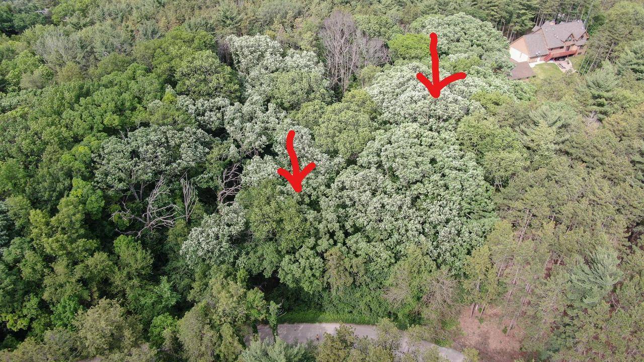 Whitewater, WI 53190,Lt5 Pine Knolls Dr