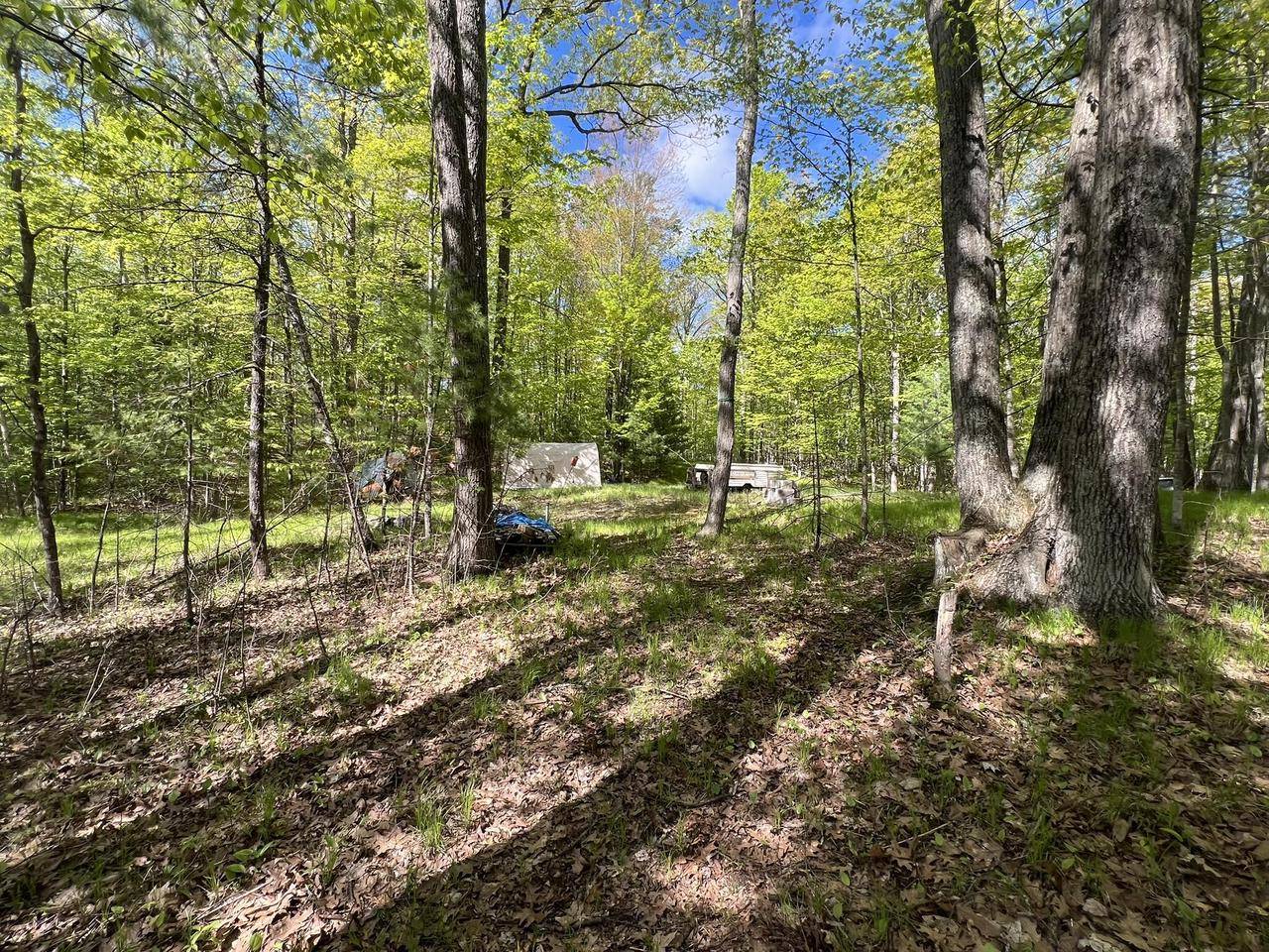 Pickerel, WI 54465,Lt18 EAGLES WAY