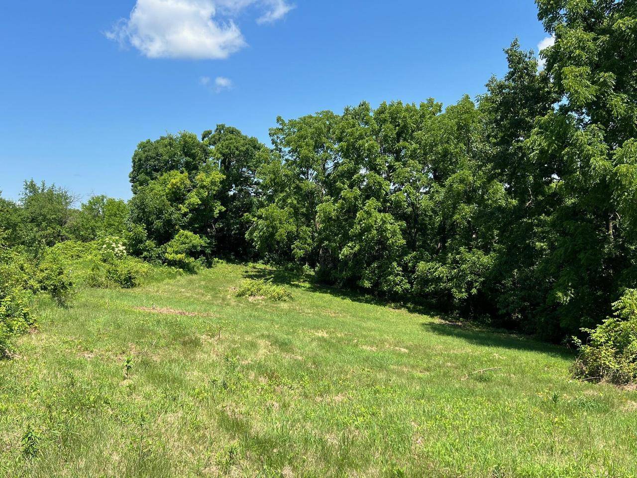 Eastman, WI 54626,Lot 16 SKYVIEW LANE
