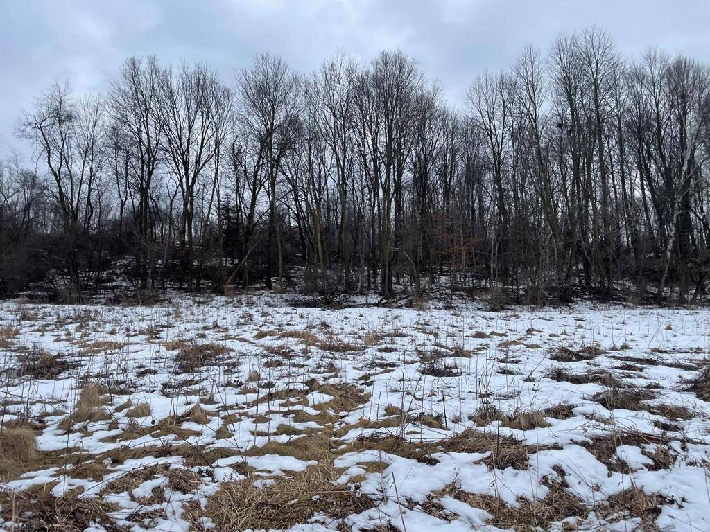 Reedsburg, WI 53959,41.69 Acres Buckeye Rd