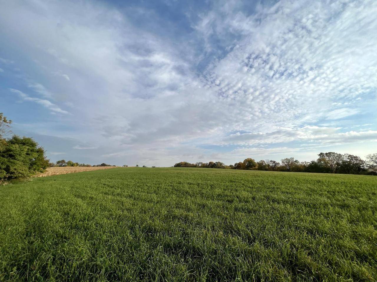 Monticello, WI 53570,Lot 2 Burr Oak Lane