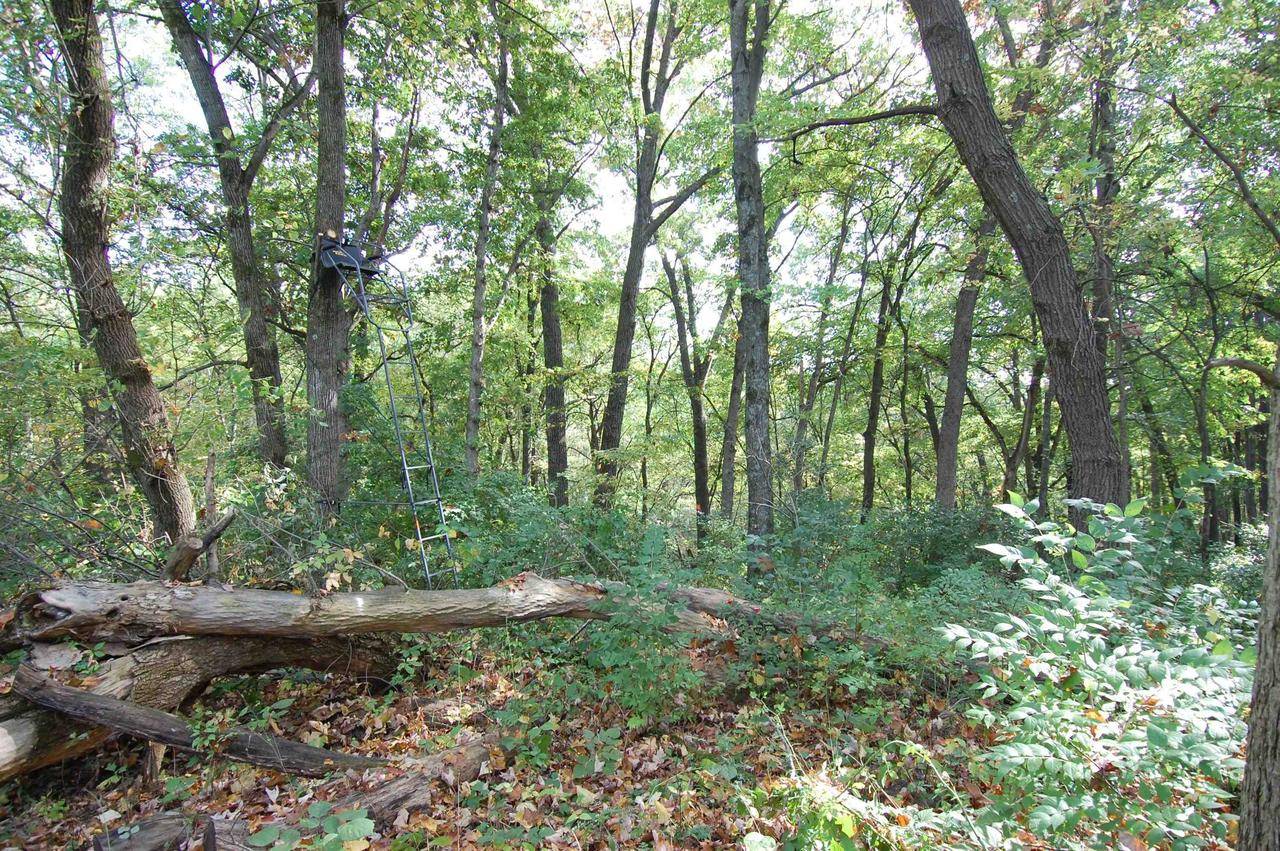 Avoca, WI 53506,17.63 Acres Biglow Hill Road