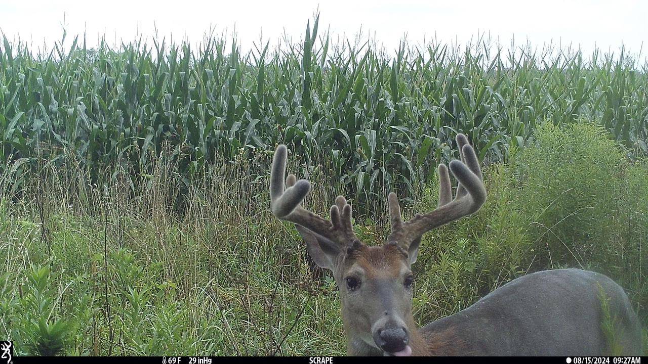 Rock Springs, WI 53961