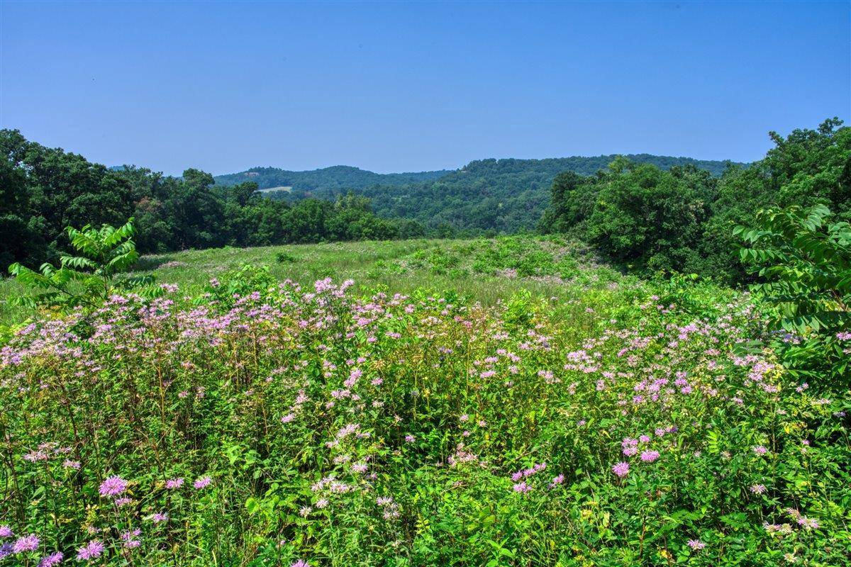 Dodgeville, WI 53533,165+/- Acres Miess Road