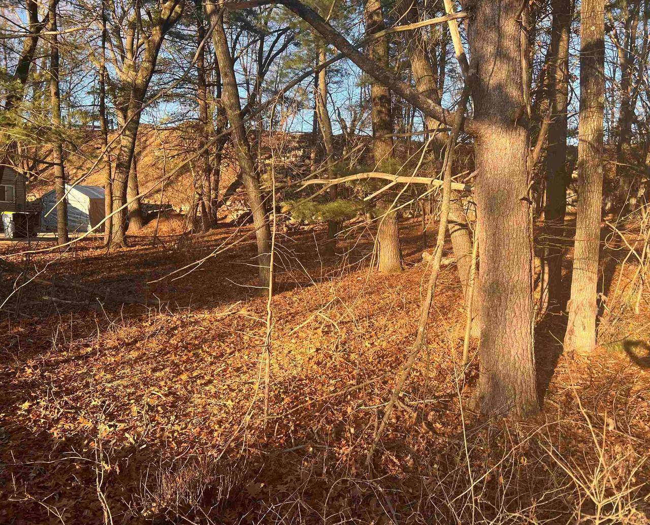 Wisconsin Dells, WI 53965,Lot 3 E Hiawatha Drive