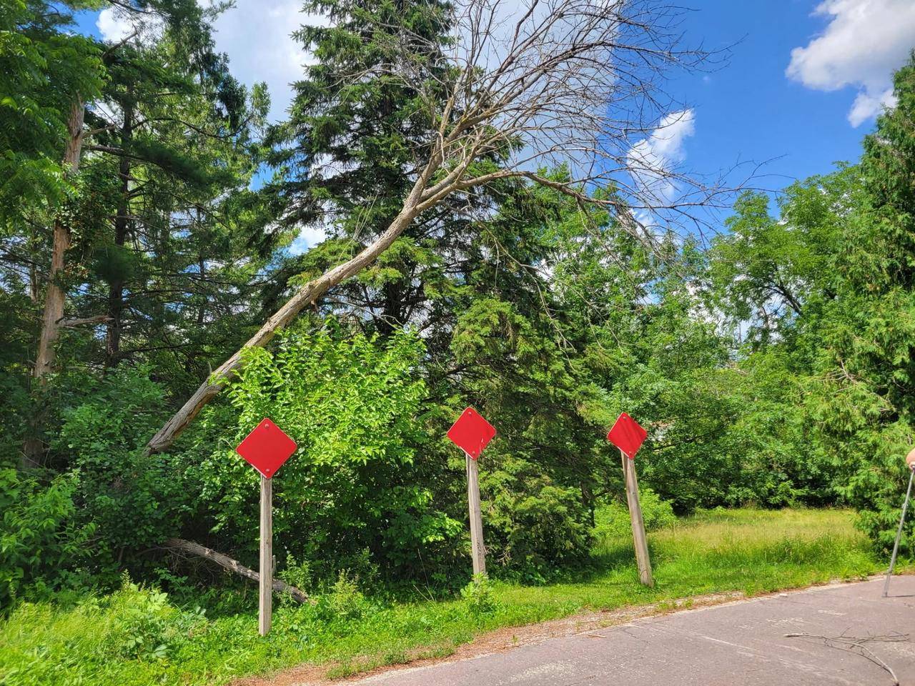 Waterloo, WI 53594-1436,0 Peschel Street