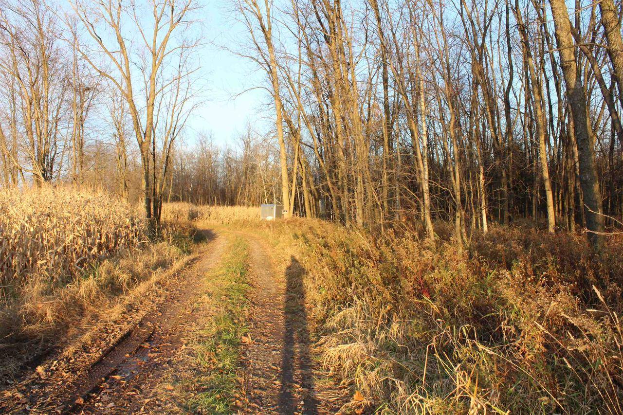 Lena, WI 54139,DUCAINE ROAD