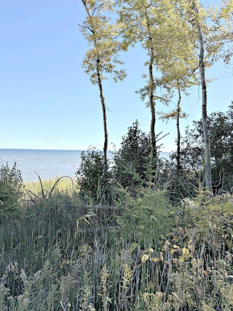 Menominee, MI 49858,M-35