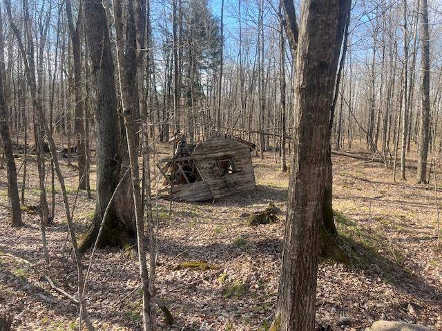 Pickerel, WI 54465,BARTZ BAY ROAD