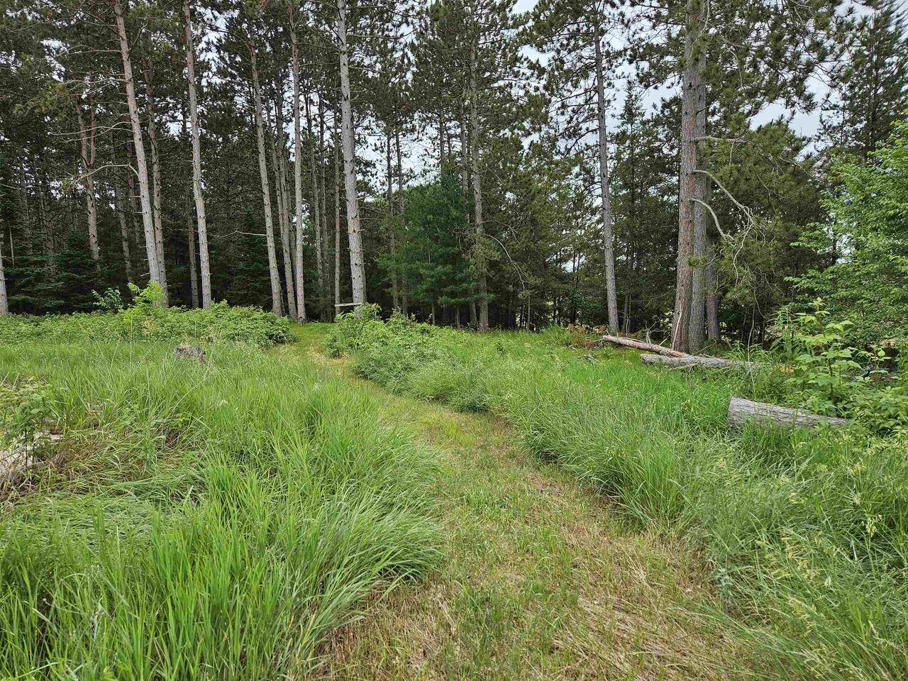 Rosholt, WI 54473-8967,2988 CEDAR ROAD