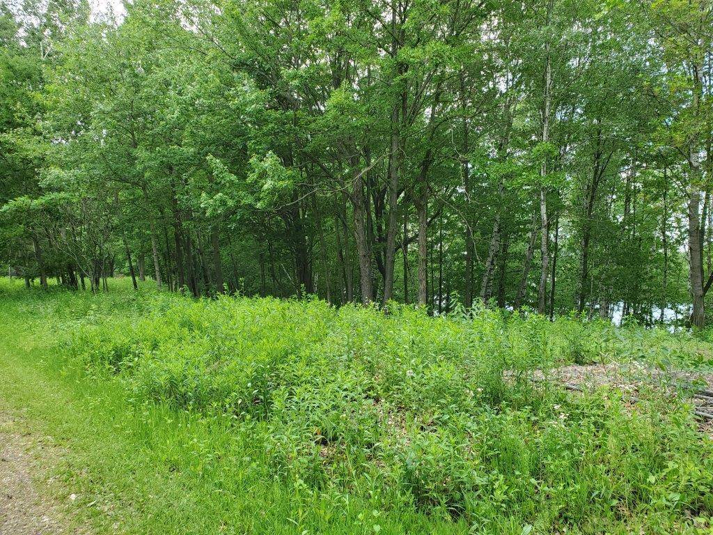 Rice Lake, WI 54868,2050 22 3/4 Ave