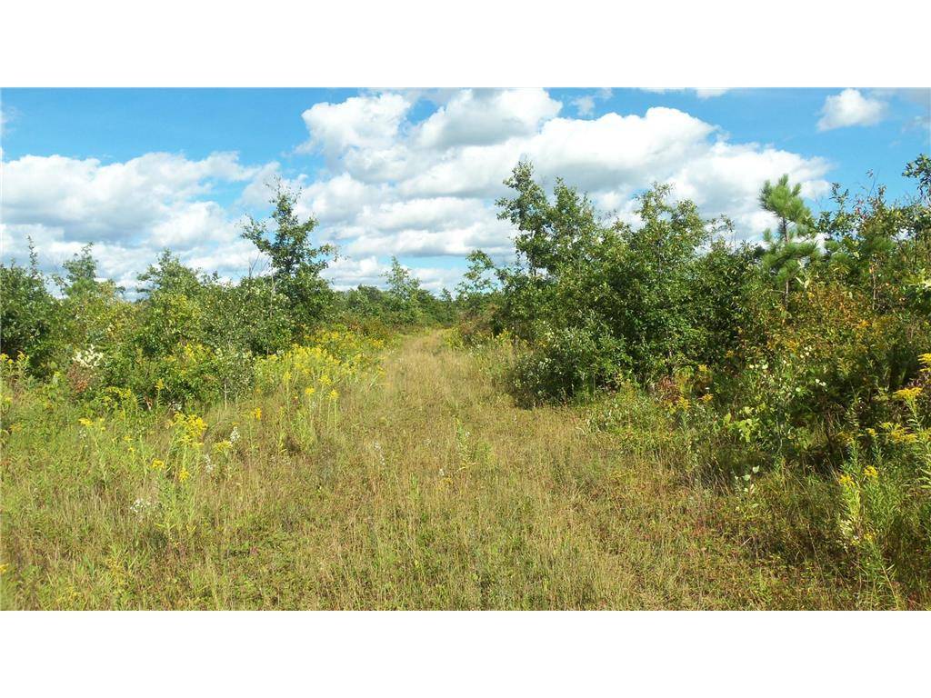 Springbrook, WI 54875,LOT 9 PINE TREE TRL