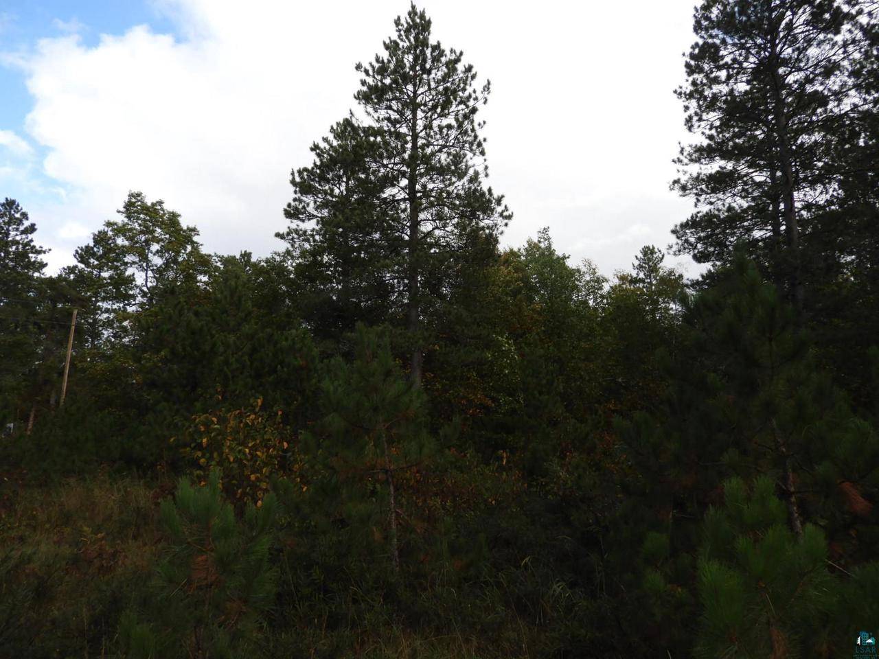 Barnes, WI 54873,1765 E Wilderness Ct