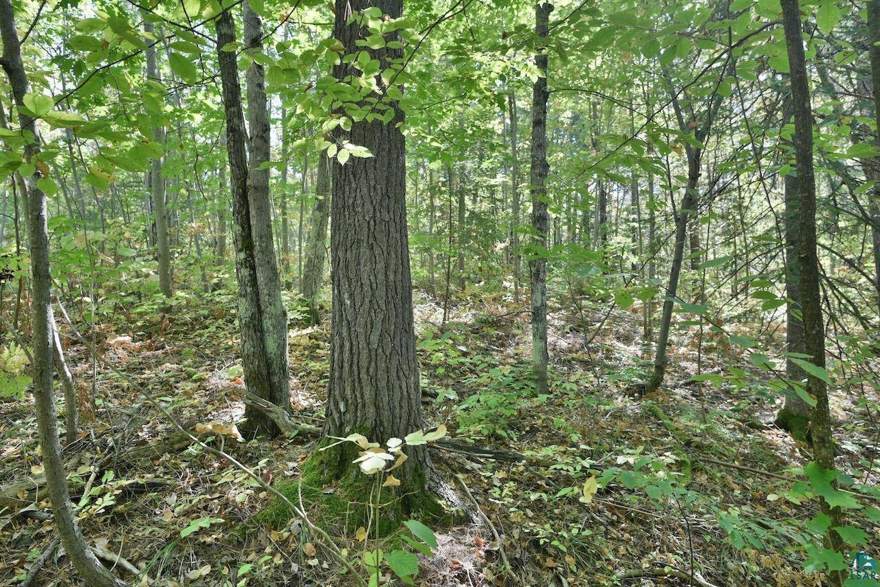 Cornucopia, WI 54827,Lot 2 County Hwy C