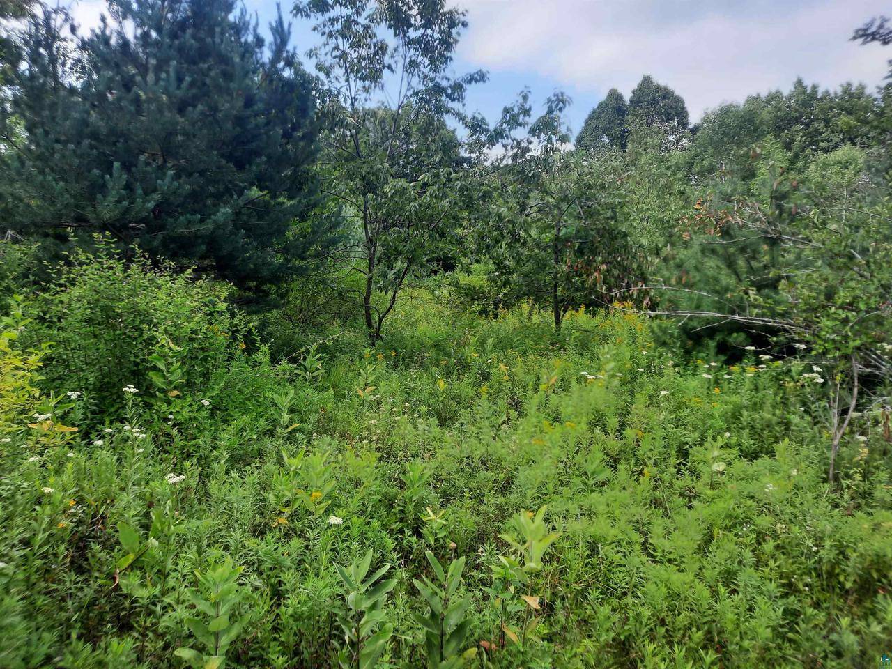 Ladysmith, WI 54848,Birchwood Ln