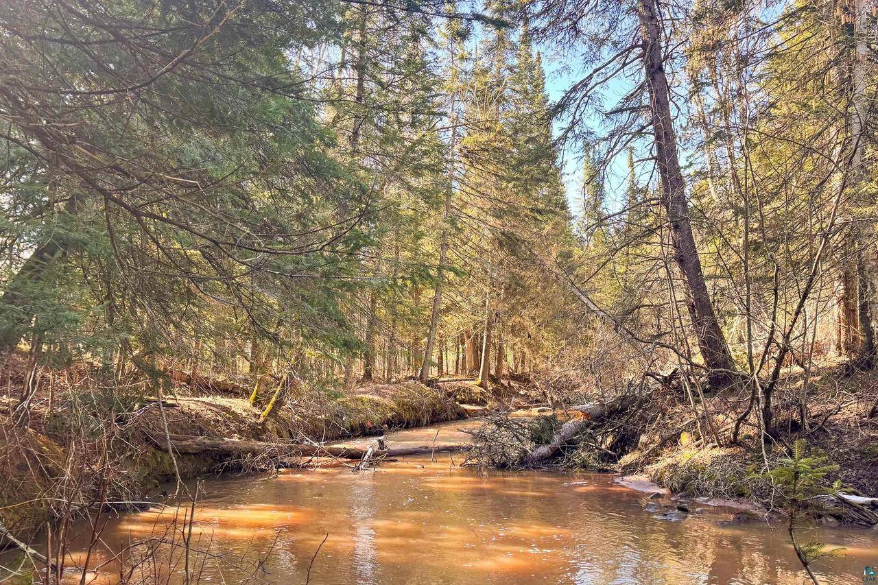 Herbster, WI 54844,XXX Lenawee Rd