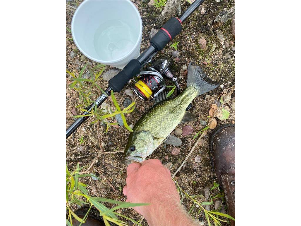 Mondovi, WI 54755,0 770th Street