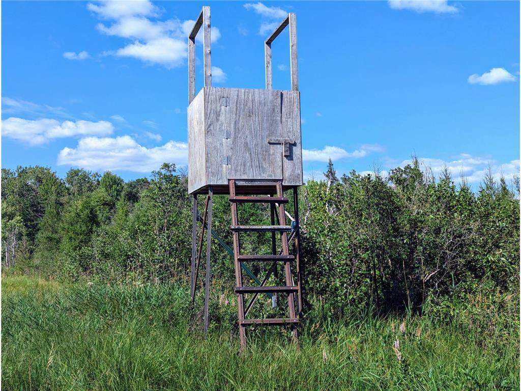 Grantsburg, WI 54840,XXX N Fork Dike Road