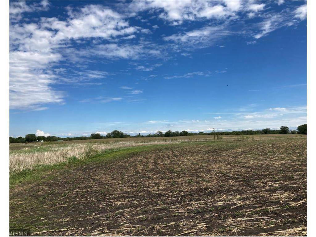 Brownton, MN 55312,XXX US Hwy 212