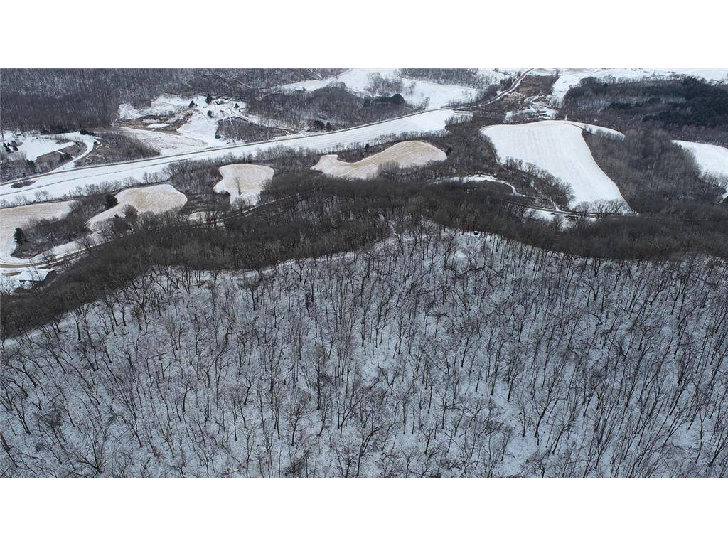 Mondovi, WI 54755,0 Appleberry Lane