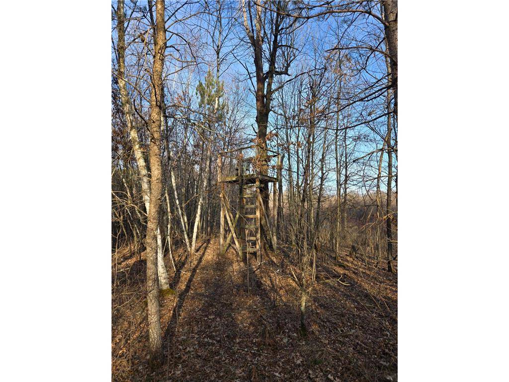 Wheeler, WI 54772,Lot 2 County Road S