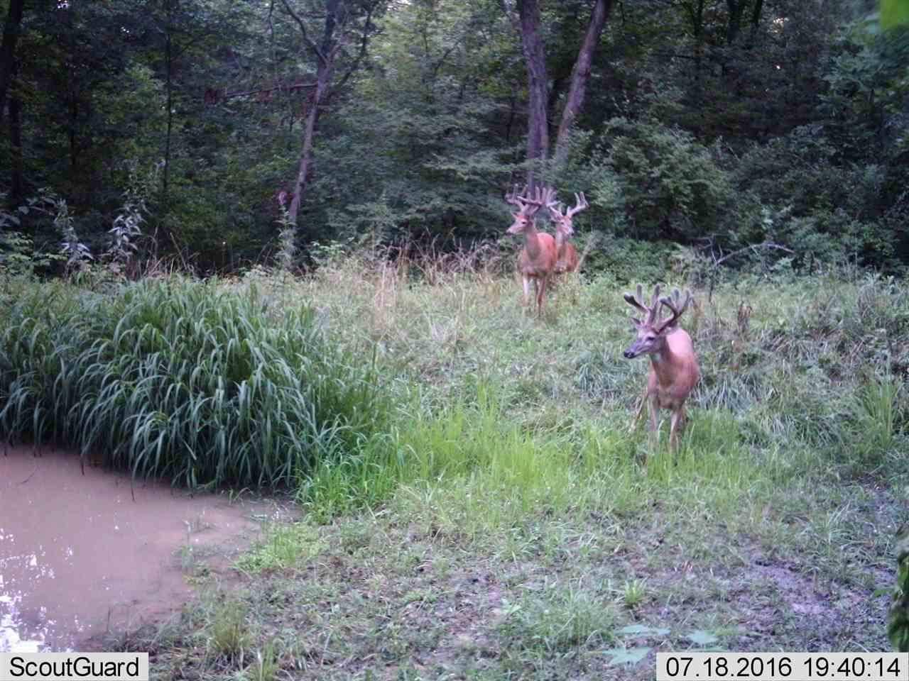 Gleason, WI 54435,0 PETERSON ROAD