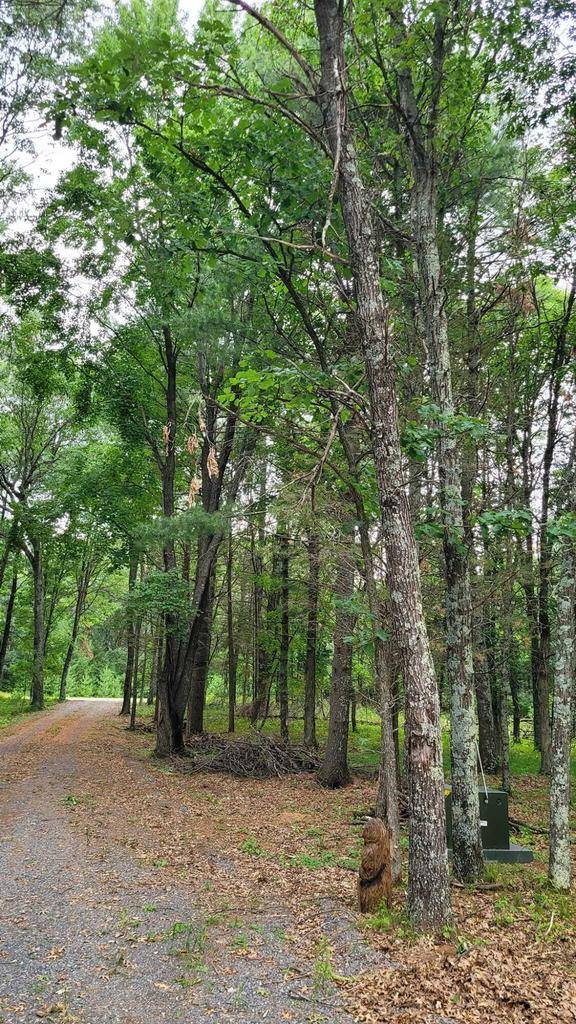 Nekoosa, WI 54457,1713 WESTWIND TRAIL