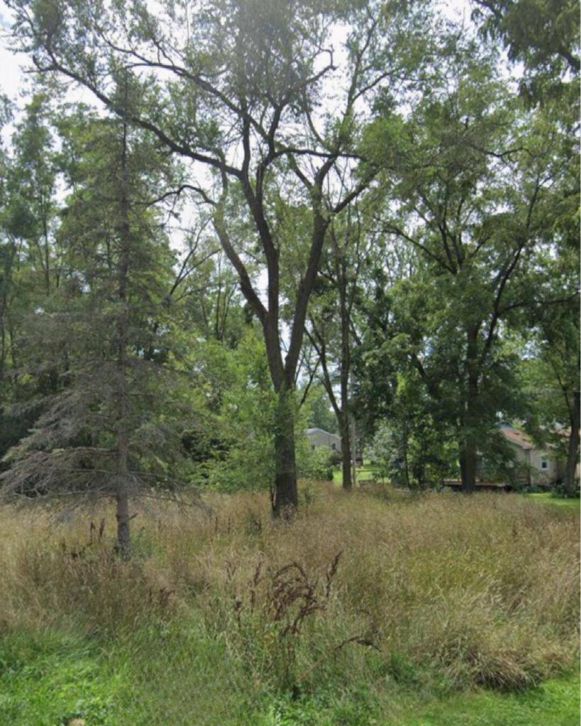 Delavan, WI 53115,Lt1-4 WEST STREET