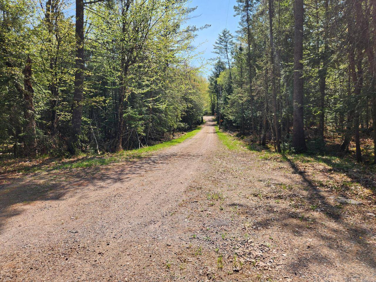 Minocqua, WI 54548,12450 Nixon ROAD