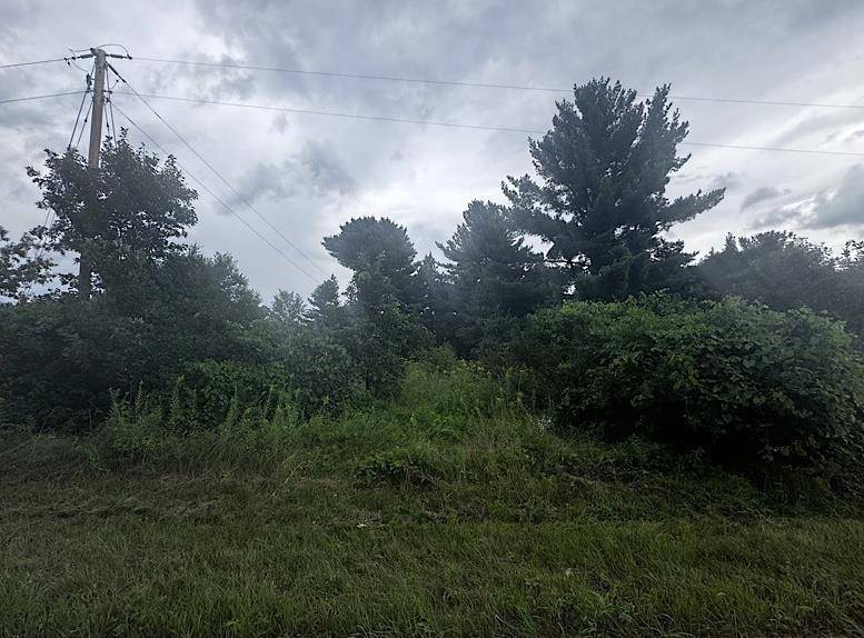 Wisconsin Dells, WI 53965,Lot 16 Gale