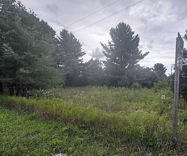 Wisconsin Dells, WI 53965,Lot 16 Gale