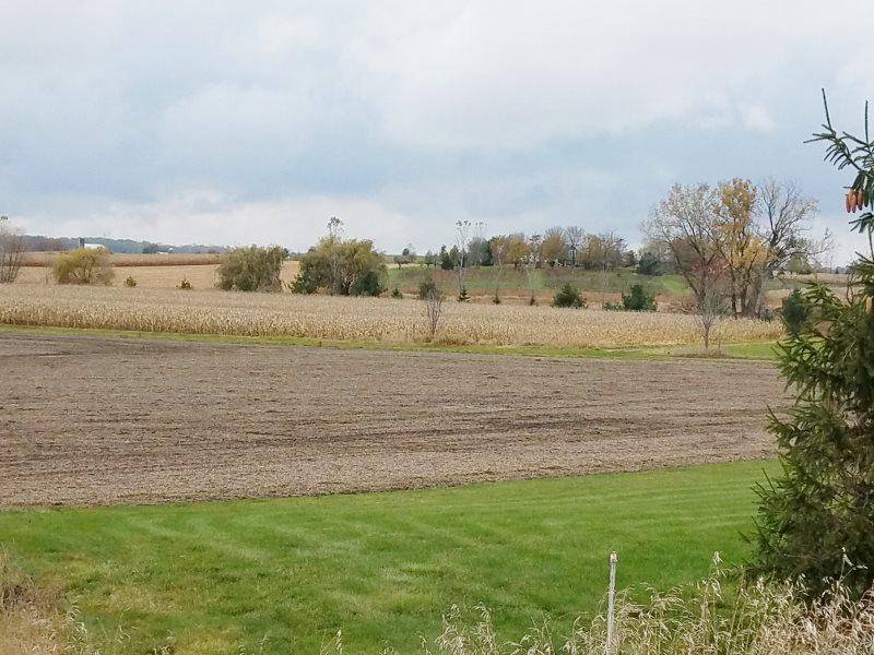 Sun Prairie, WI 53590,L124 Blue Victoria Drive