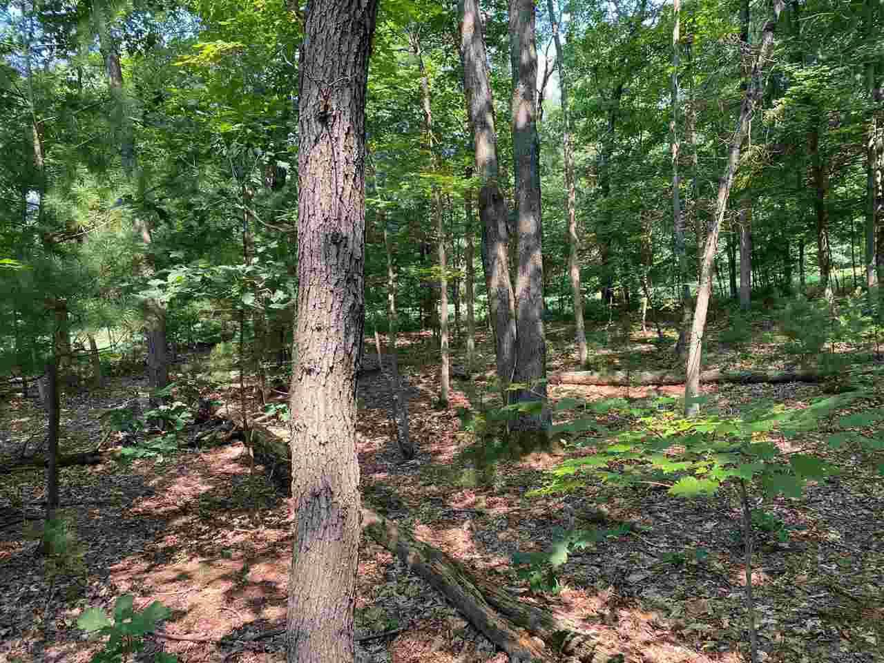Wisconsin Dells, WI 53940,287 Dogwood Lane