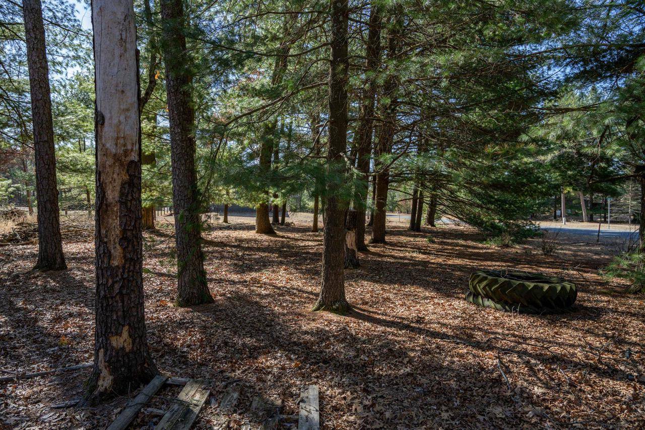 New Lisbon, WI 53950,W5613 Cherokee Lane