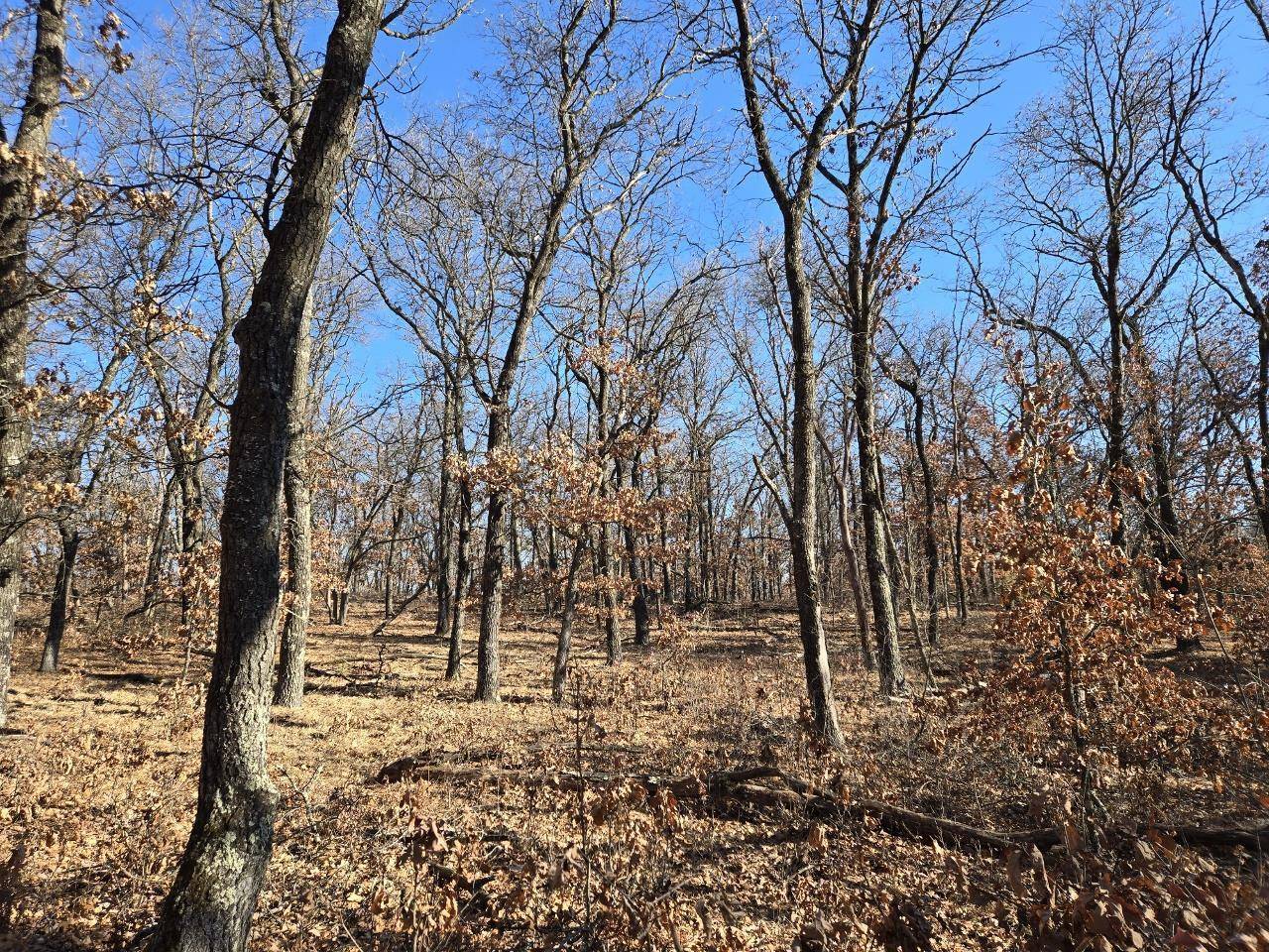 Hancock, WI 54943,4 Acres (MOL) Aspen Drive