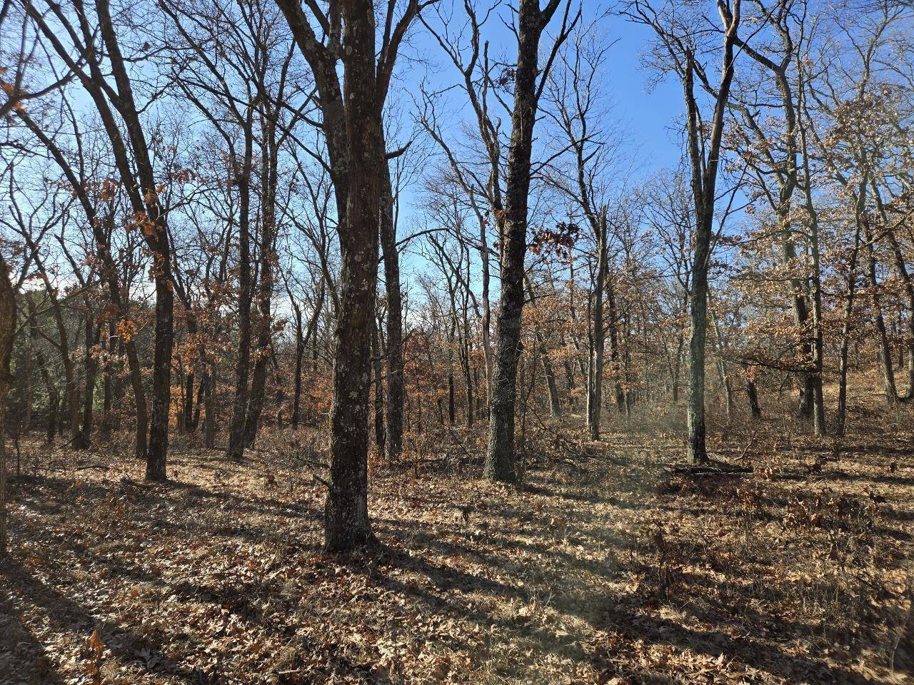 Hancock, WI 54943,4 Acres (MOL) Aspen Drive